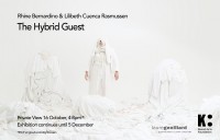 http://www.lglondon.org/files/gimgs/th-260_the Hybrid guest poster.jpg